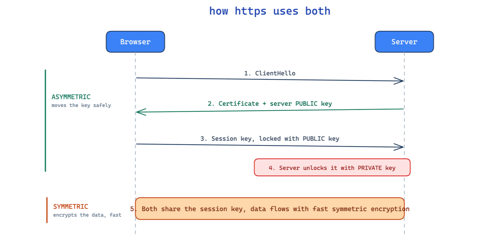 The TLS handshake: the browser and server use asymmetric encryption to safely exchange a symmetric session key, then switch to fast symmetric encryption for the rest of the session.