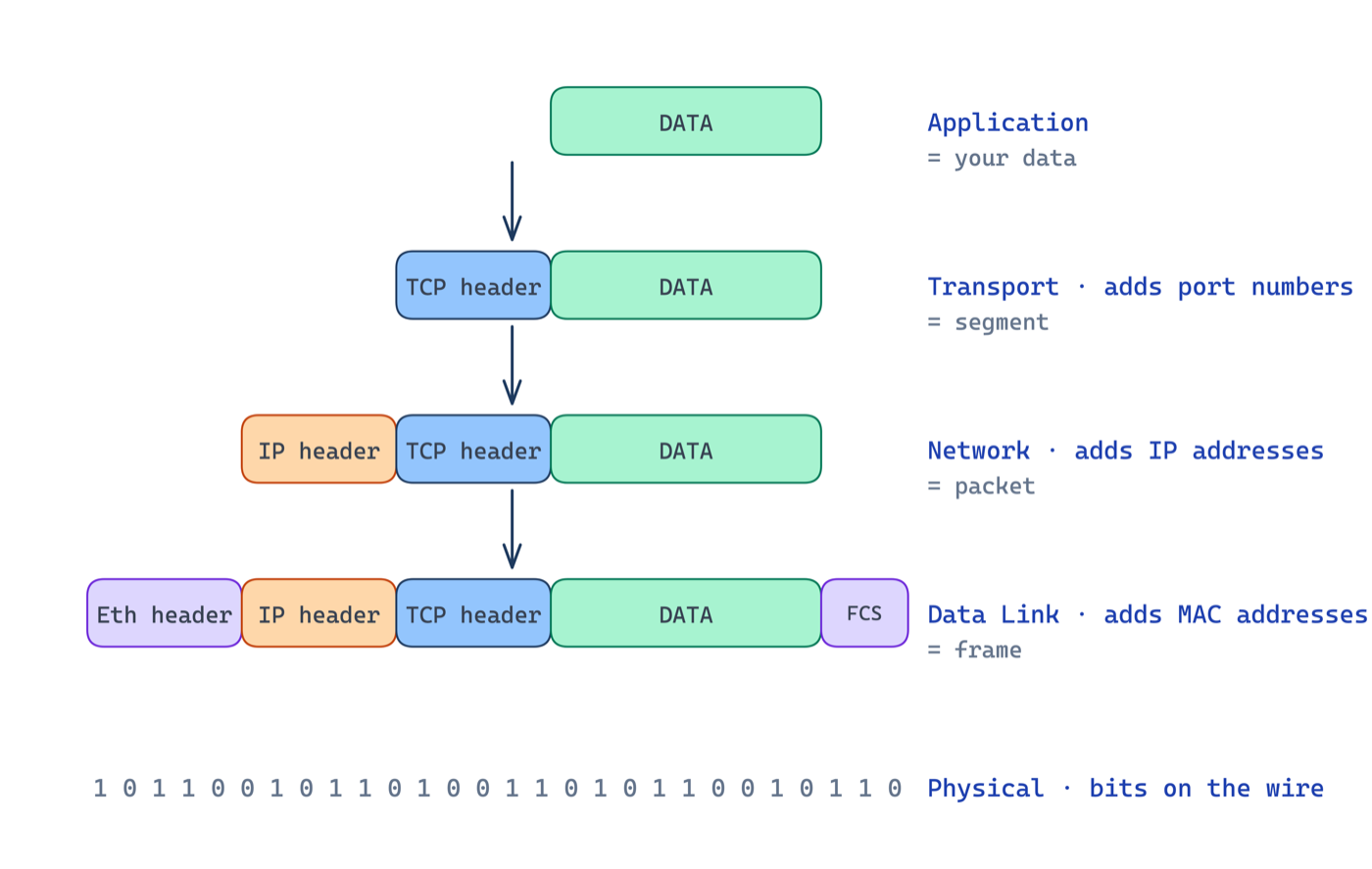 Encapsulation step by step: data is wrapped in a TCP segment, an IP packet, then an Ethernet frame, and finally sent as bits on the wire