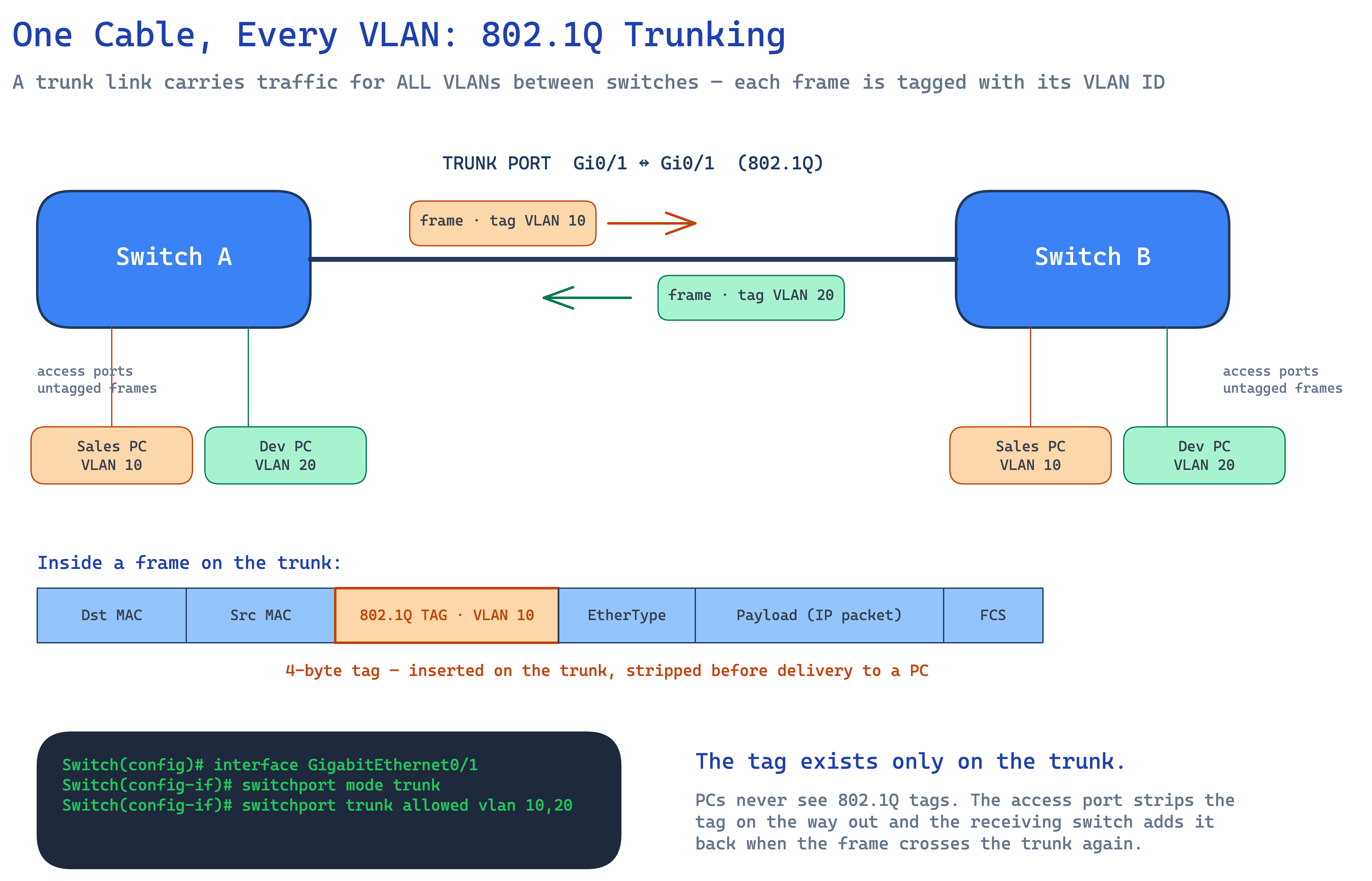 Two switches connected by an 802.1Q trunk, with tagged VLAN 10 and VLAN 20 frames crossing the trunk and untagged access ports below each switch
